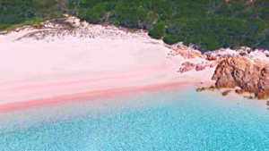 The Pink Sand Beach Sardinia Italy