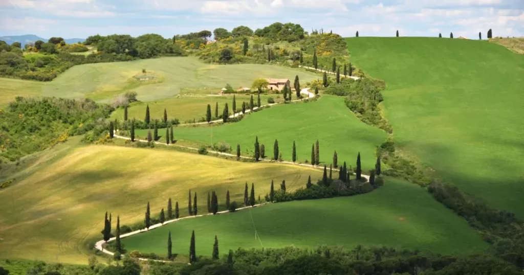 vineyard tours in tuscany