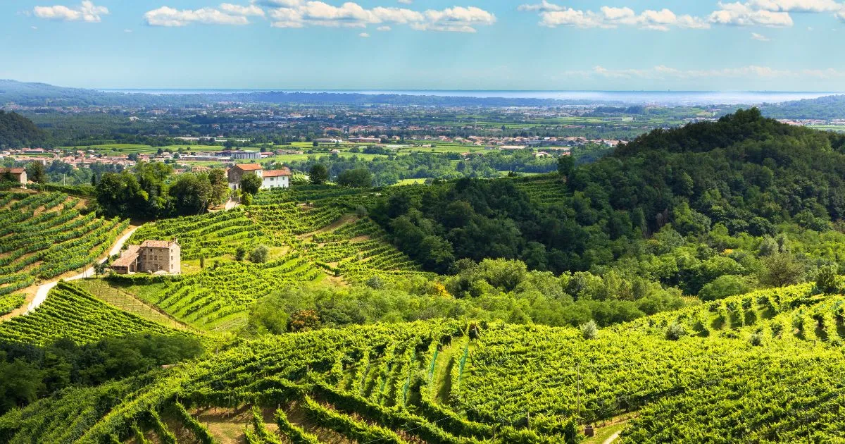 Walking the Prosecco Hills, Trekking the Prosecco Hills, Italy