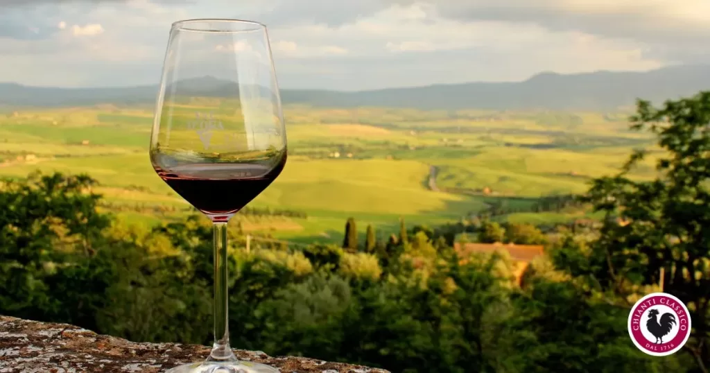 top vineyards to visit in tuscany