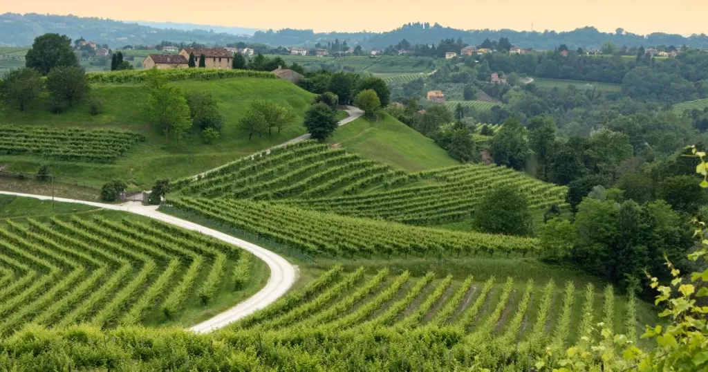 wineries to visit in montepulciano