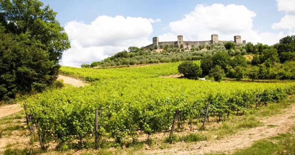 montepulciano wineries to visit