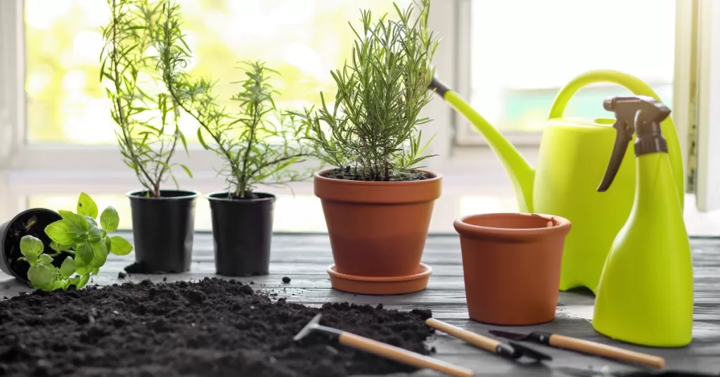 Growing organic herbs and vegetables with Jiffy Pots