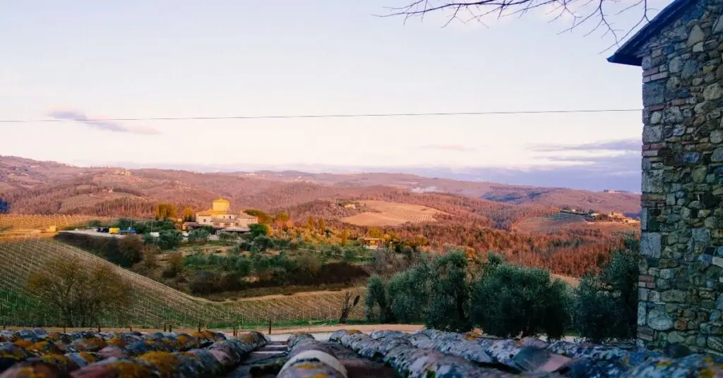 Province Of Florence Wineries