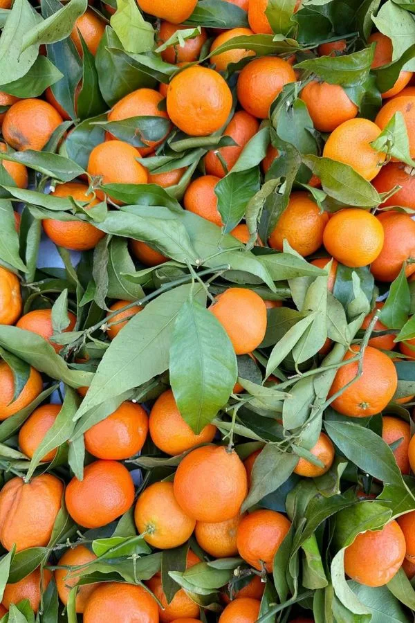 fresh manderines Turin, Italy - Barrett and the Boys