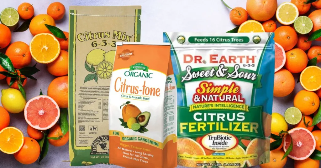 Best Organic Citrus Fertilizer