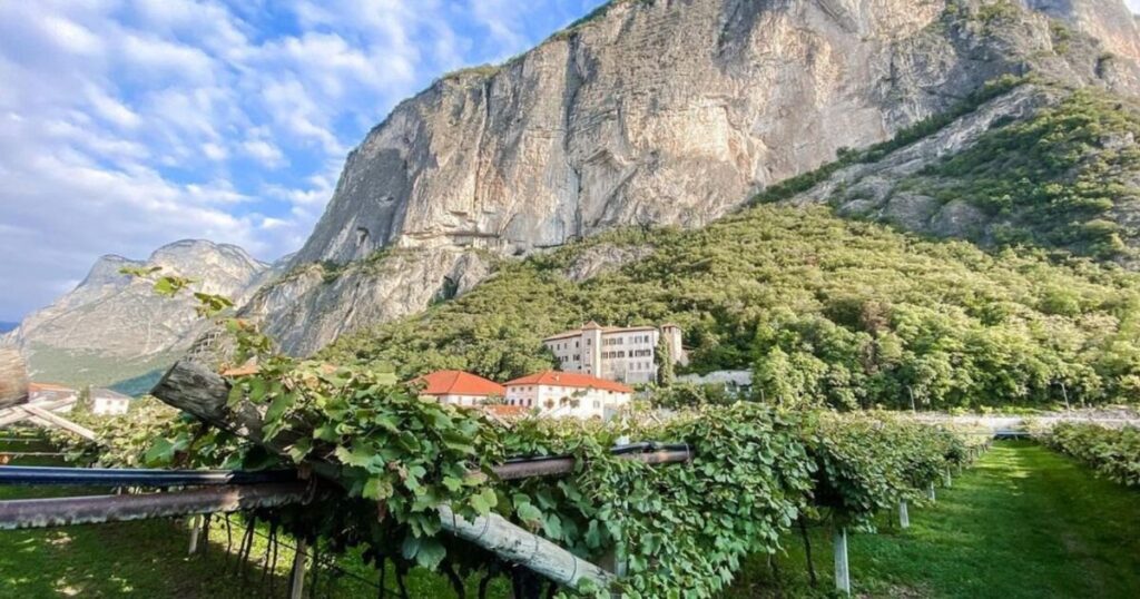 A scenic vineyard landscape at the Split Rock Wine Festival 2025