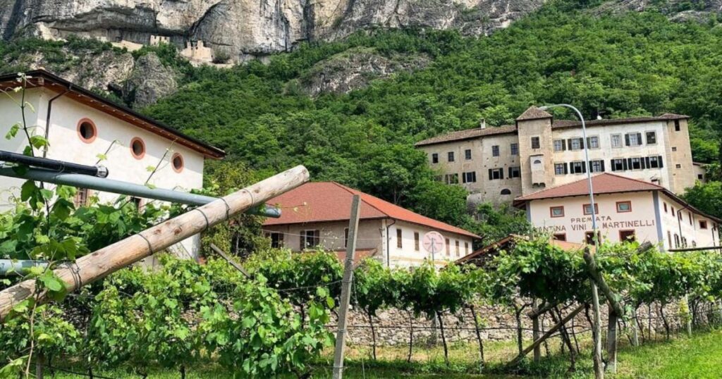 Cantina A. Martinelli 1860 Best Winery In Trentino Alto Adige