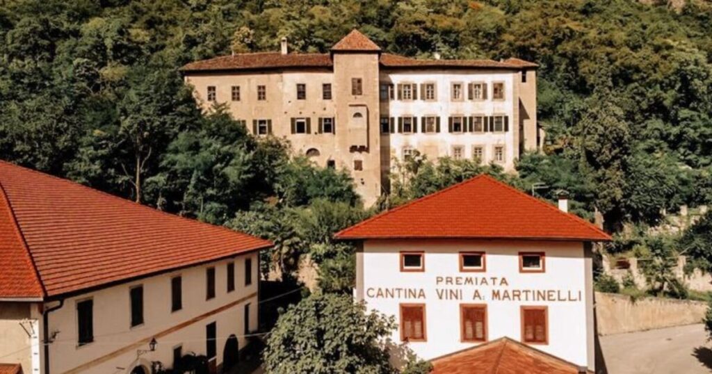 Italy in October - Cantina A. Martinelli 1860 Mezzocorona in Trentino Alto Adige Best Winery In Trentino Alto Adige