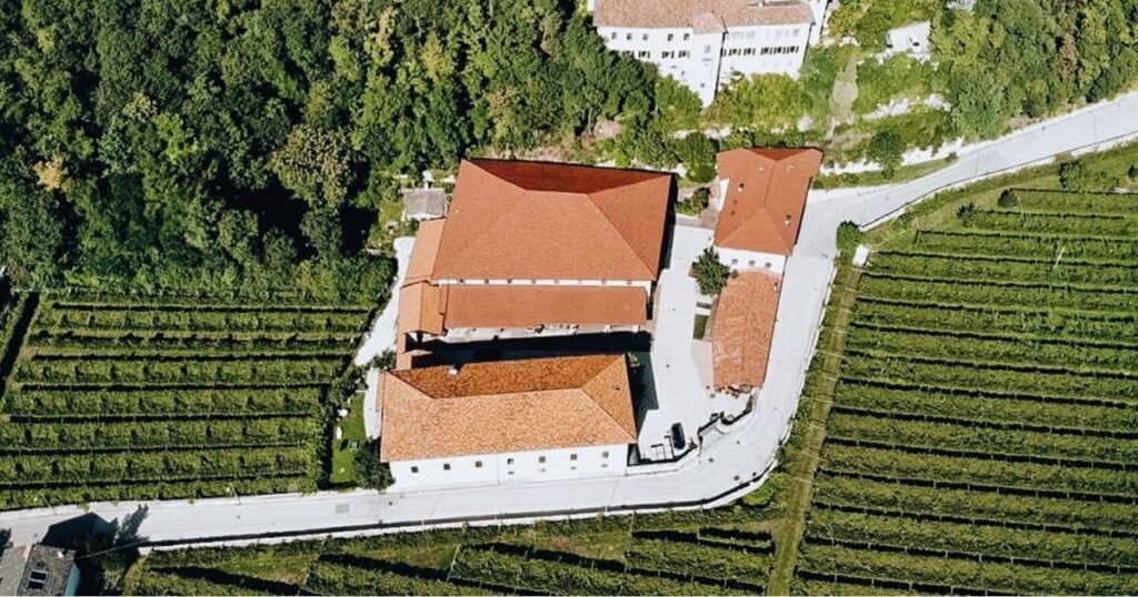 aerial view of Cantina Martinelli