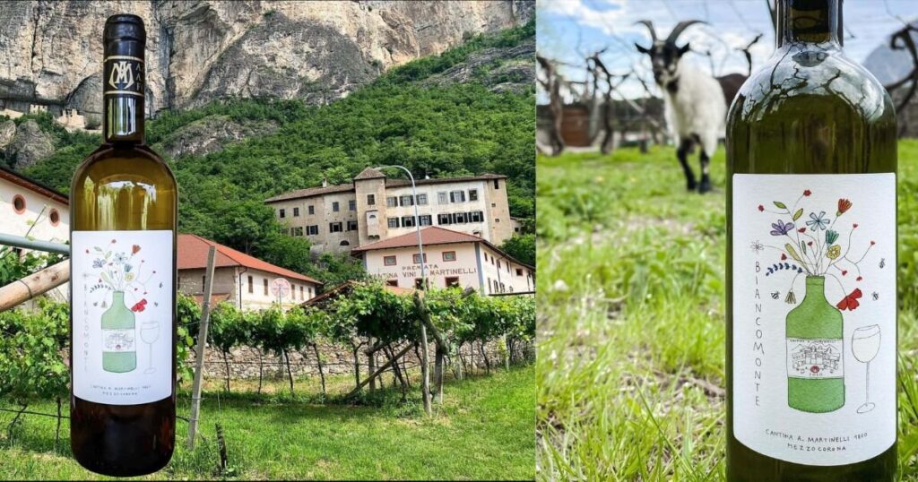 Bianco Monte Wine from Cantina A. Martinelli with one of their goats in the photo