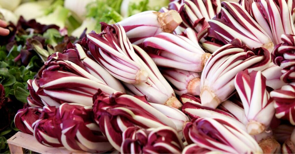 fresh radicchio in Italy - January 2025