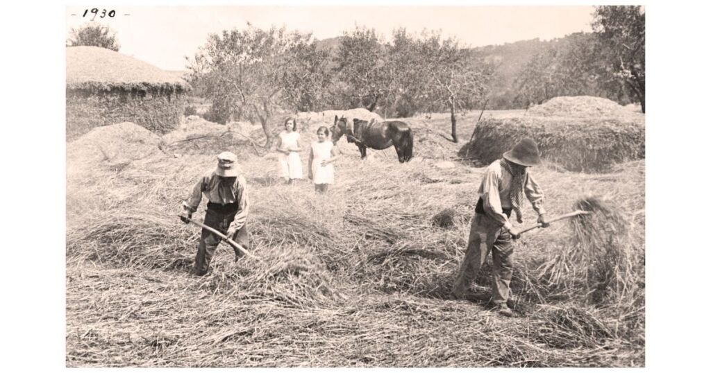 Italy's greatest generation